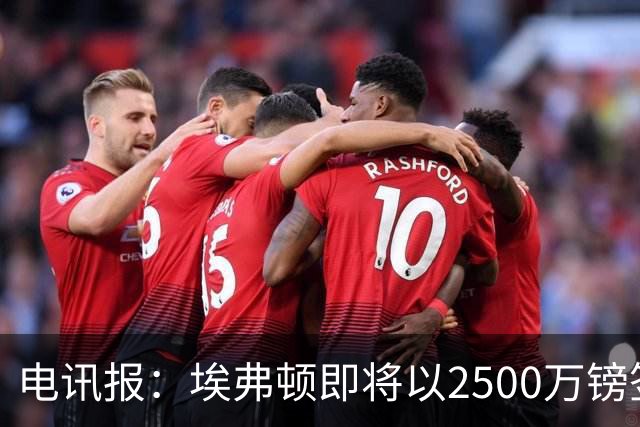 电讯报：埃弗顿即将以2500万镑签下米堡中场哈克尼